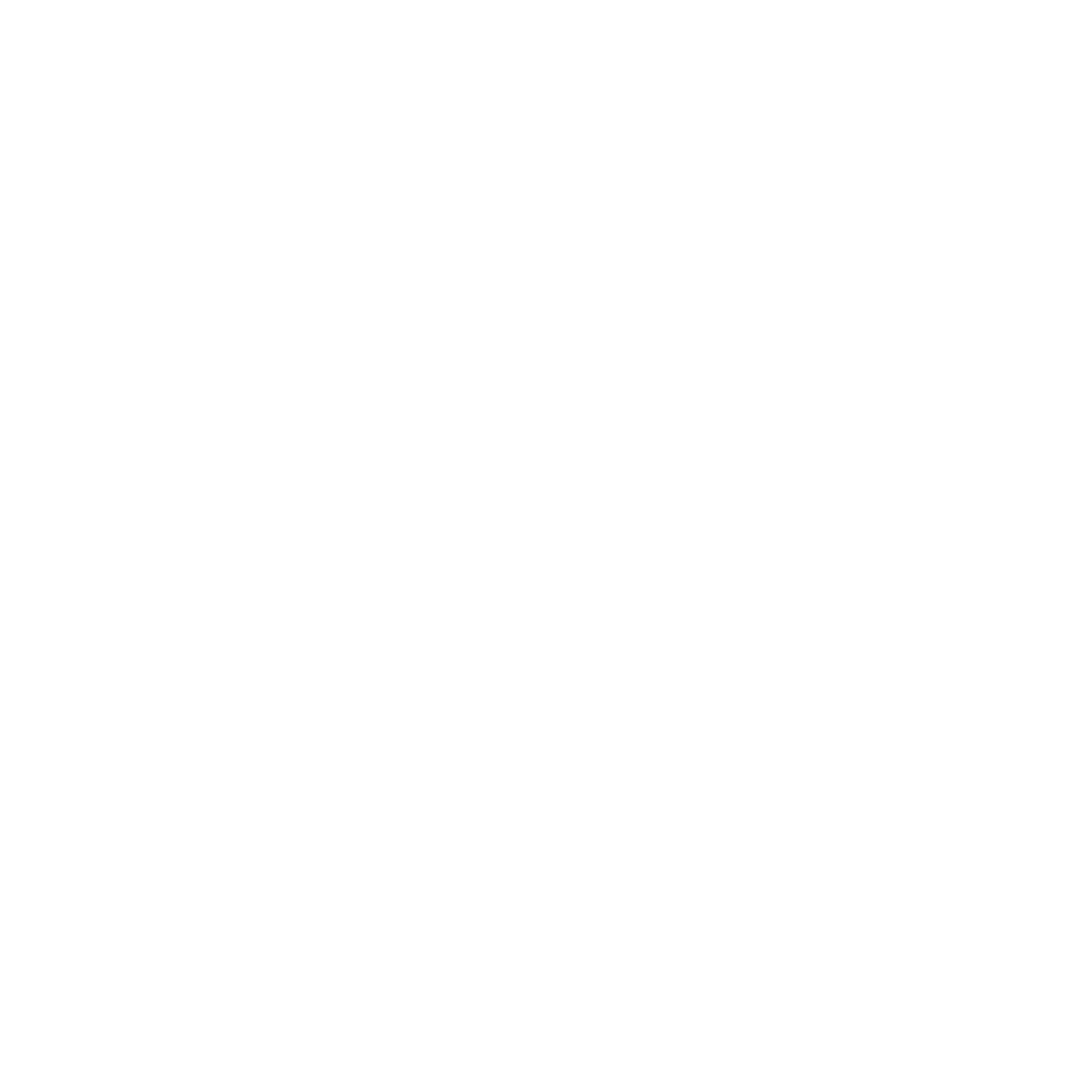 TN Logo (white)